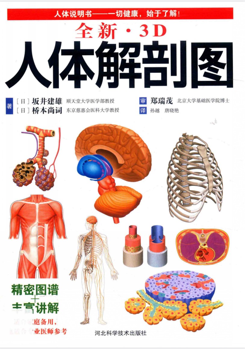 《全新3D人体解剖图》严重推荐 了解熟悉人体结构 一切健康 始于了解 [pdf] [58.5MB]