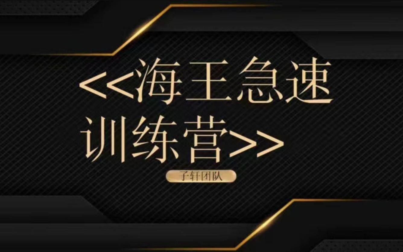 子轩团队《海王急速训练营》【1.3GB/MP4】