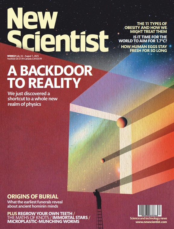 【外刊】《New Scientist（新科学家）》（2025年7月合集，全4册）【PDF】 [46.5MB]