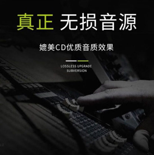 【无损音乐】2025年网络热门流行歌曲370首合集」【WAV格式/16.6GB】