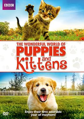 小狗与小猫的奇妙世界 The Wonderful World of Puppies and Kittens