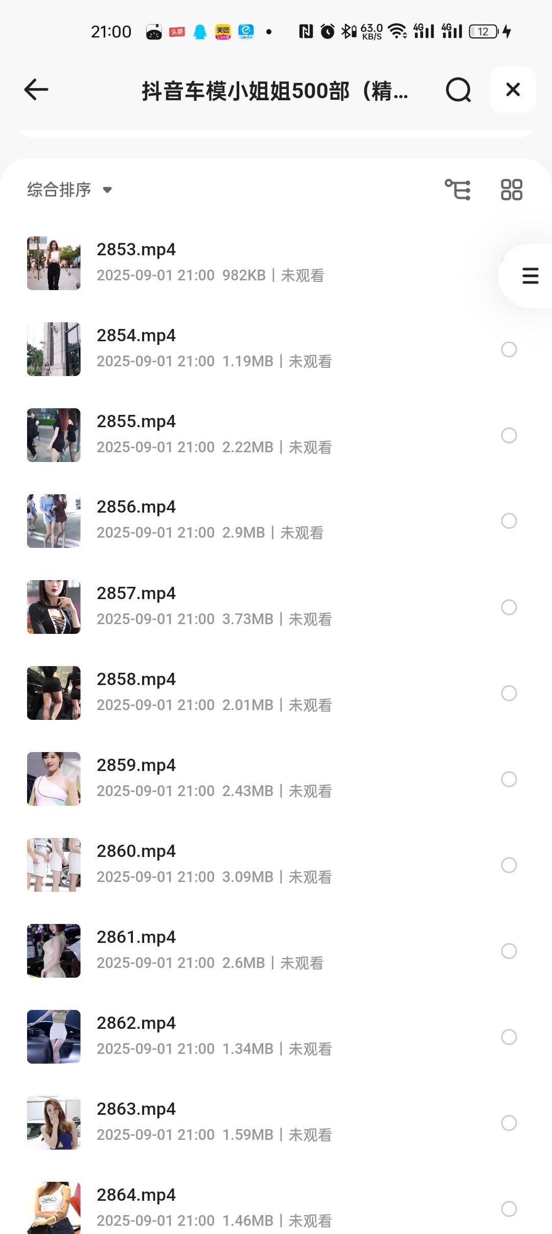 【稀有资源】抖音车模小姐姐500部（精致美女短视频）1.63g