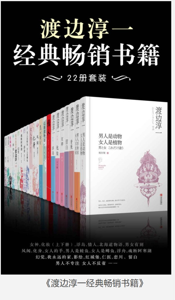 《渡边淳一经典畅销书籍》22册套装]渡边淳一经典畅销书籍  [pdf]  [55MB]