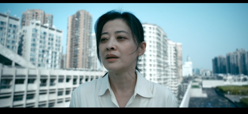   [恶意]  [梅婷/梅婷]  [2025最新国产悬疑大片]  [国语中字]  [4K/3G/高码率/多版本]