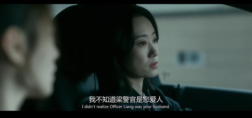   [恶意]  [梅婷/梅婷]  [2025最新国产悬疑大片]  [国语中字]  [4K/3G/高码率/多版本]