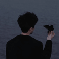demo